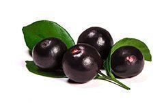 Acai-Beeren Acai-Beeren