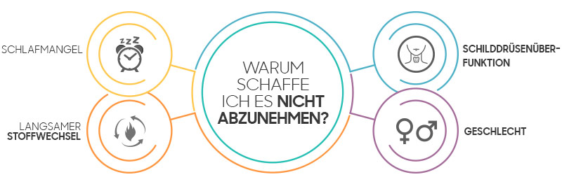 'Warum schaffe ich es nicht abzunehmen?' Infografik mit vier Gründen