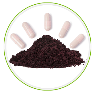 Feines Acai Beeren Pulver und Acai Beeren Kapseln auf weißem Hintergrund in einem grünen Kreis Feines Acai Beeren Pulver und Acai Beeren Kapseln auf weißem Hintergrund in einem grünen Kreis