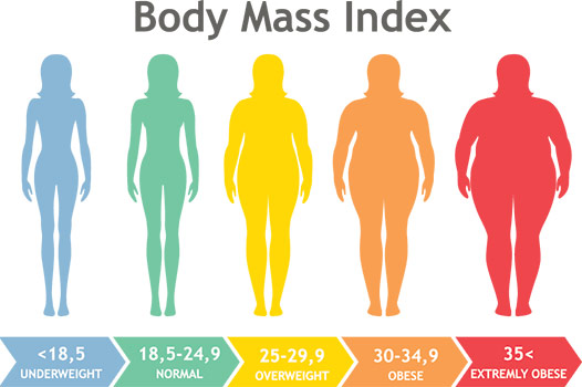 Body Mass Index Infografik mit bunter Darstellung von untergewichtig bis adipös