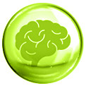brain brain