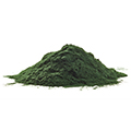 Chlorella Chlorella