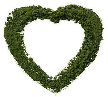 Ein Herz aus Chlorella Pulver auf weißem Hintergrund Ein Herz aus Chlorella Pulver auf weißem Hintergrund