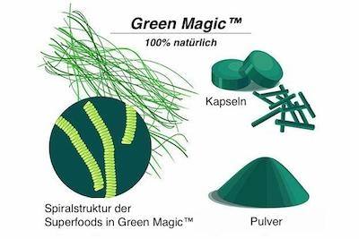 Spirulina-Info Spirulina-Info