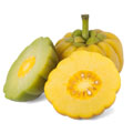 Eine ganze gelbe Garcinia Cambogia mit zwei aufgeschnittenen Garcinia Früchten gelb und grün davor Eine ganze gelbe Garcinia Cambogia mit zwei aufgeschnittenen Garcinia Früchten gelb und grün davor