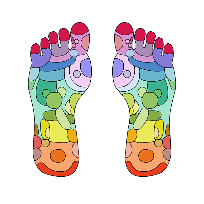 Linker und rechter Fuß mit den Fußreflexzonen eingezeichnet in Bunt