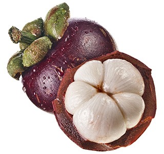 Eine ganze und eine halbe Mangostan Frucht auf weißem Hintergrund Eine ganze und eine halbe Mangostan Frucht auf weißem Hintergrund