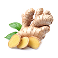 Ginger Root Ginger Root