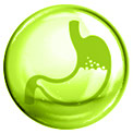 Grüne Blase mit einem grün gezeichneten Magen in der Mitte