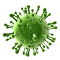 Grafische Darstellung eines grünen Bakteriums auf weißem Hintergrund