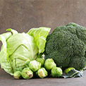 Großer Grünkohl und Brokkoli mit kleinen Rosenkohlköpfen im Vordergrund