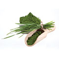 Chlorella Pulver Chlorella Pulver