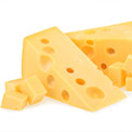 Käse Käse