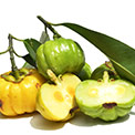 Garcinia Cambogia als Nahrungsergänzung