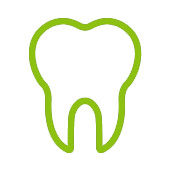 Dentes e gengivas Dentes e gengivas