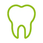 Dentes e gengivas Dentes e gengivas