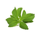 Stevia