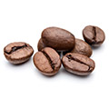 Sieben braune Kaffeebohnen auf weißem Hintergrund Sieben braune Kaffeebohnen auf weißem Hintergrund