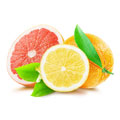 Eine halbe Blutorange und eine halbe Orange sowie eine ganze Orange mit Blättern auf weißem Hintergrund Eine halbe Blutorange und eine halbe Orange sowie eine ganze Orange mit Blättern auf weißem Hintergrund