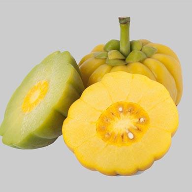 Wie Garcinia Cambogia beim Abnehmen hilft 