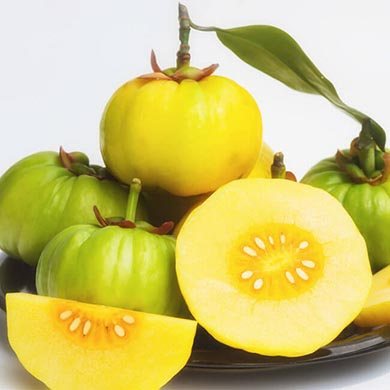 Garcinia – Was sagt die Wissenschaft?