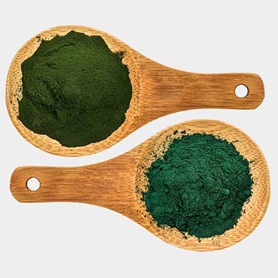 Chlorella hilft beim Abnehmen