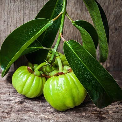 Hat Garcinia Cambogia Nebenwirkungen?