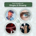 Ihre Vorteile mit Gingko & Ginseng