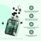 Vorteile von Himalayan Shilajit Gummibärchen