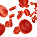 Darstellung roter Blutkörperchen auf weißem Hintergrund
