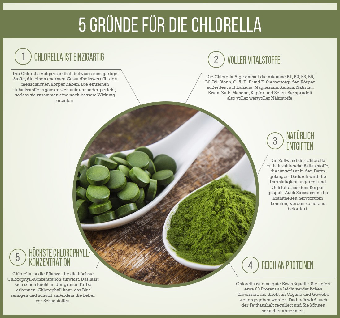 Gründe für Chlorella Infografik