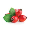 Rosehip Rosehip