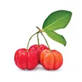Acerola Acerola