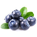Blaubeeren Blaubeeren