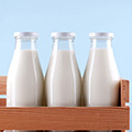 Milch Milch