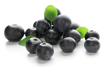 Acai Beeren Acai Beeren