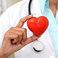 Unterstützt das Herz & den Cholesterinspiegel Unterstützt das Herz & den Cholesterinspiegel