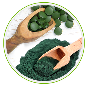 Spirulina Tabletten und Spirulina Pulver in zwei Holzlöffeln