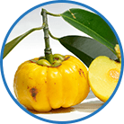 Raspberry Ketone Plus & Garcinia Cambogia Pure Raspberry Ketone Plus & Garcinia Cambogia Pure