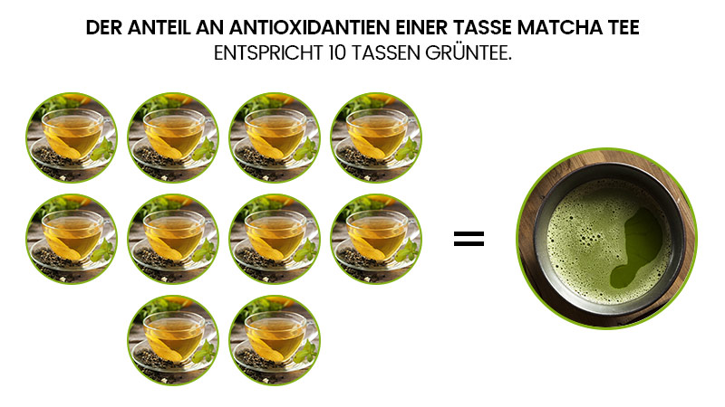 Representation of Antioxidants of one cup of matcha tea equals 10 cups of brewed green tea