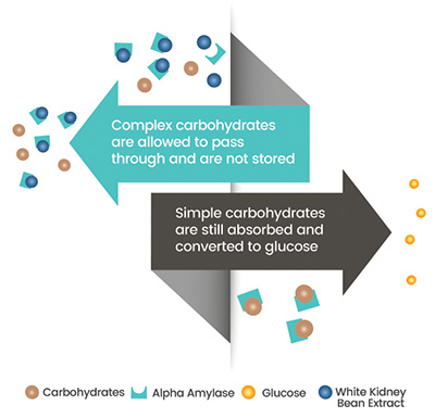 carb no more infograph